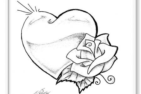 corazón rosa flor dibujos a lapiz