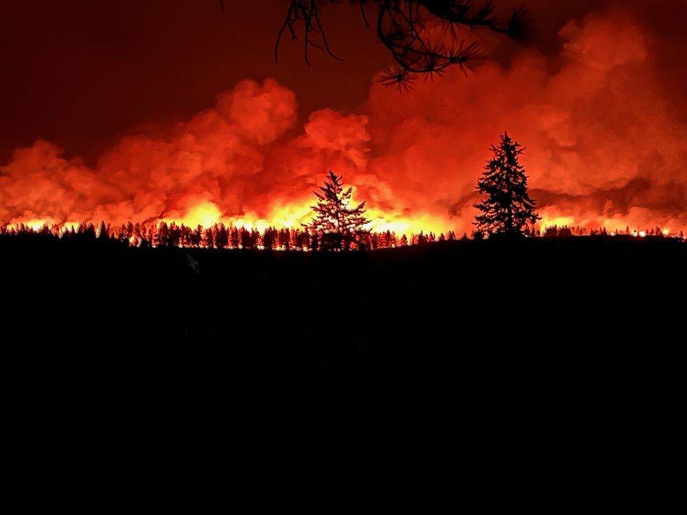 cranbrook forest fires