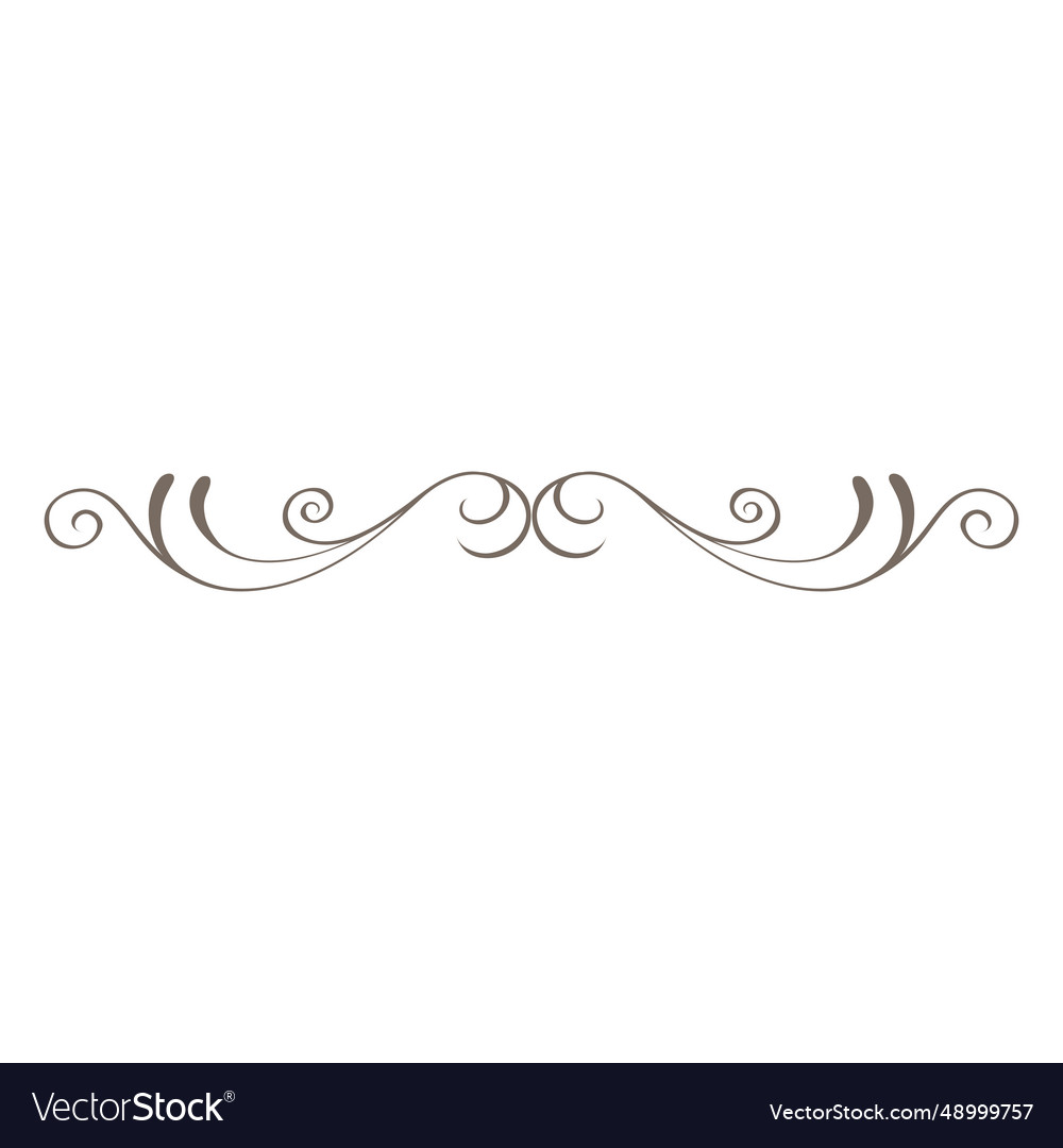 curly line divider