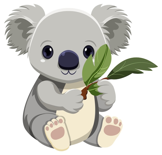 cute koala bear pictures