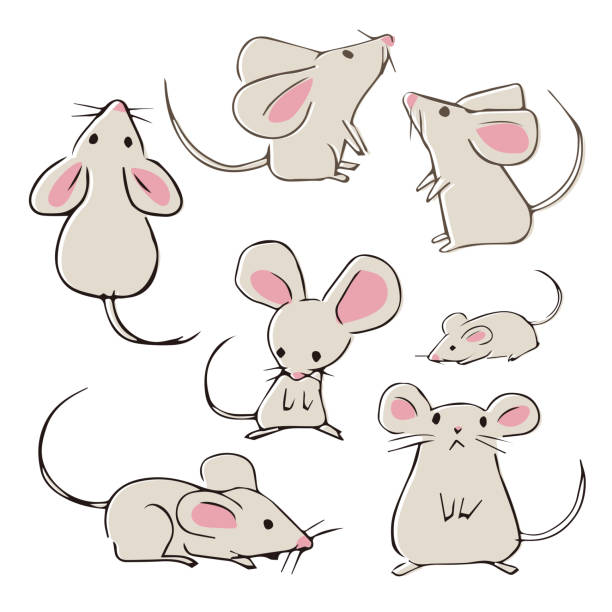 cute mouse clipart