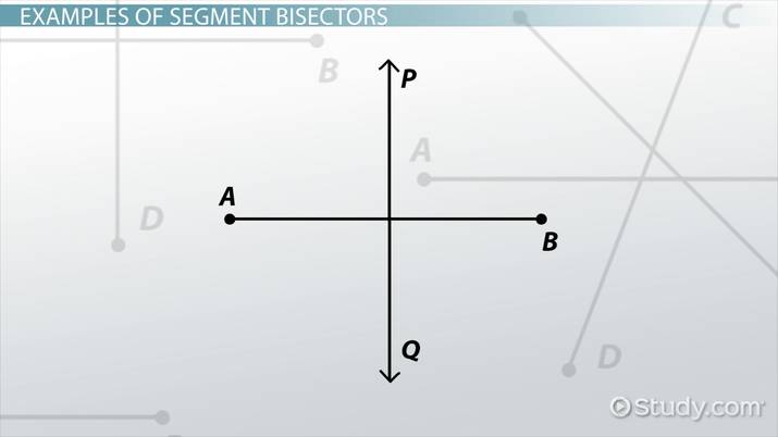 what is a segment bisector in geometry