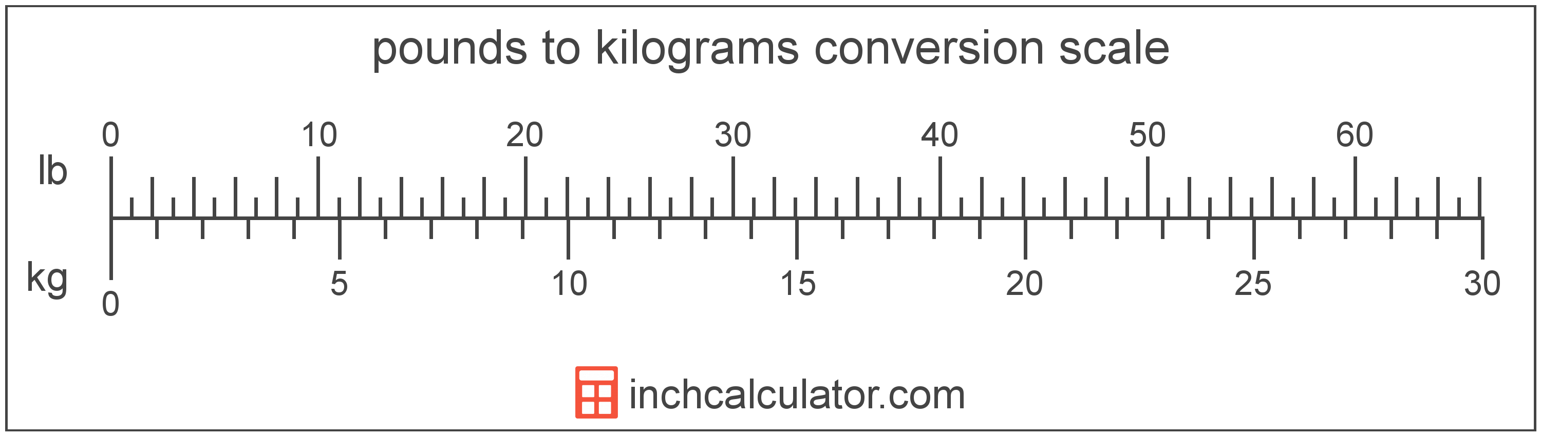 kilogram pound conversion calculator