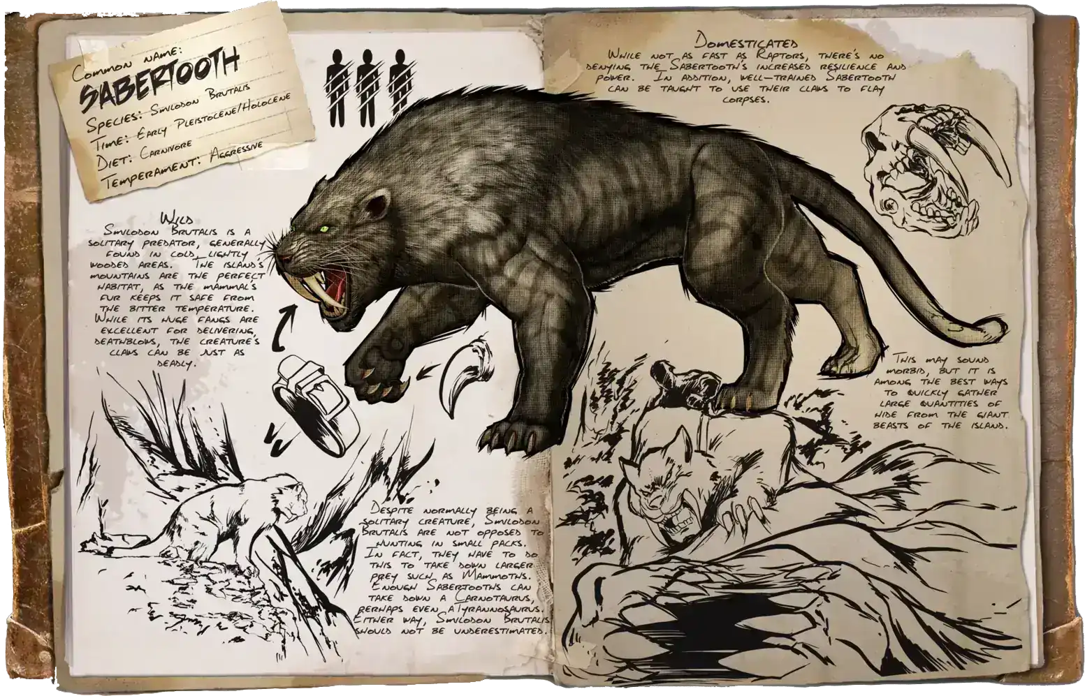 ark sabertooth