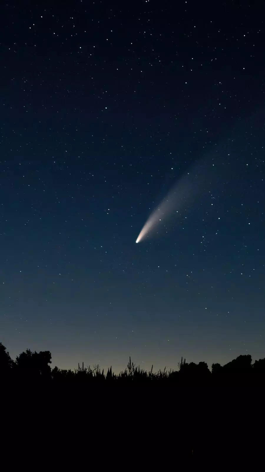 comet feb 1