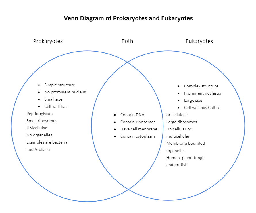 venn diagram for prokaryotes and eukaryotes