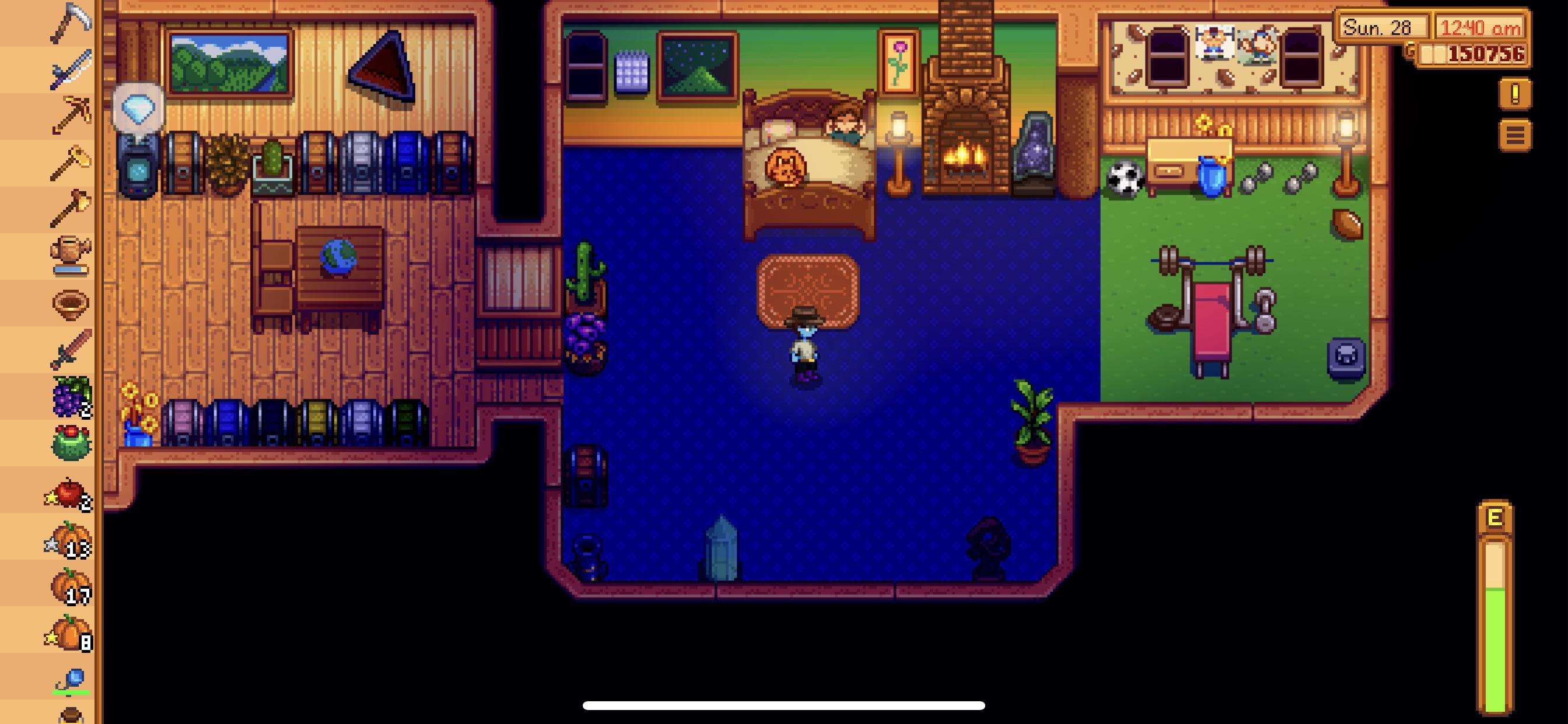 sleeping stardew valley