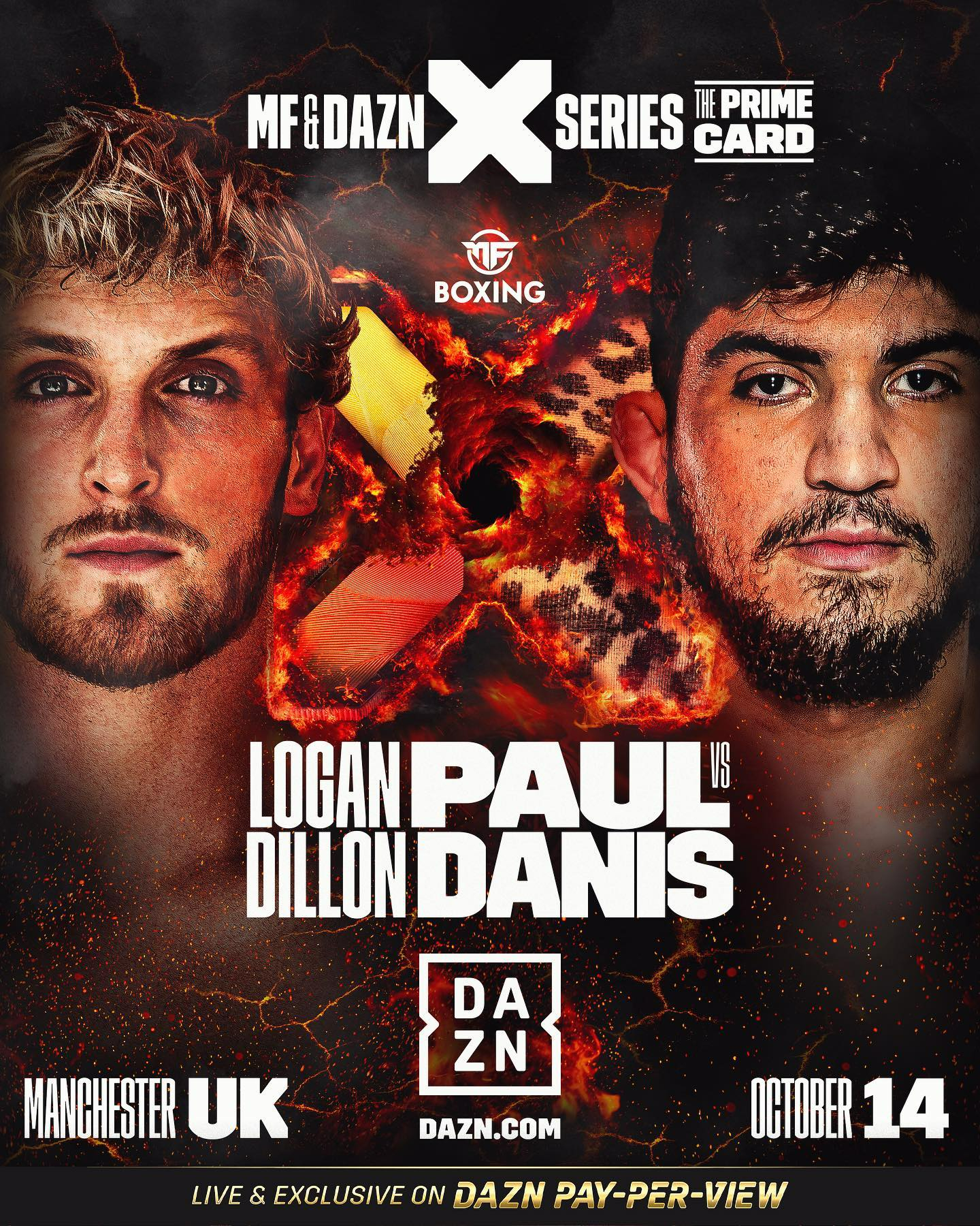 danis paul fight