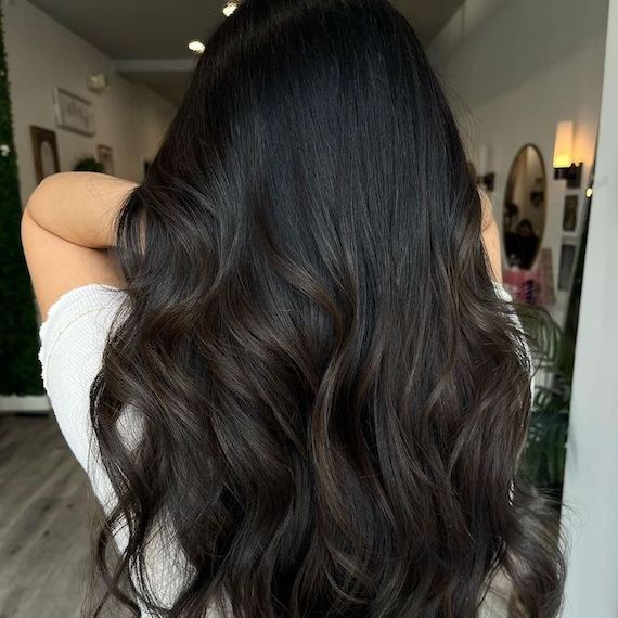 dark highlights in black hair