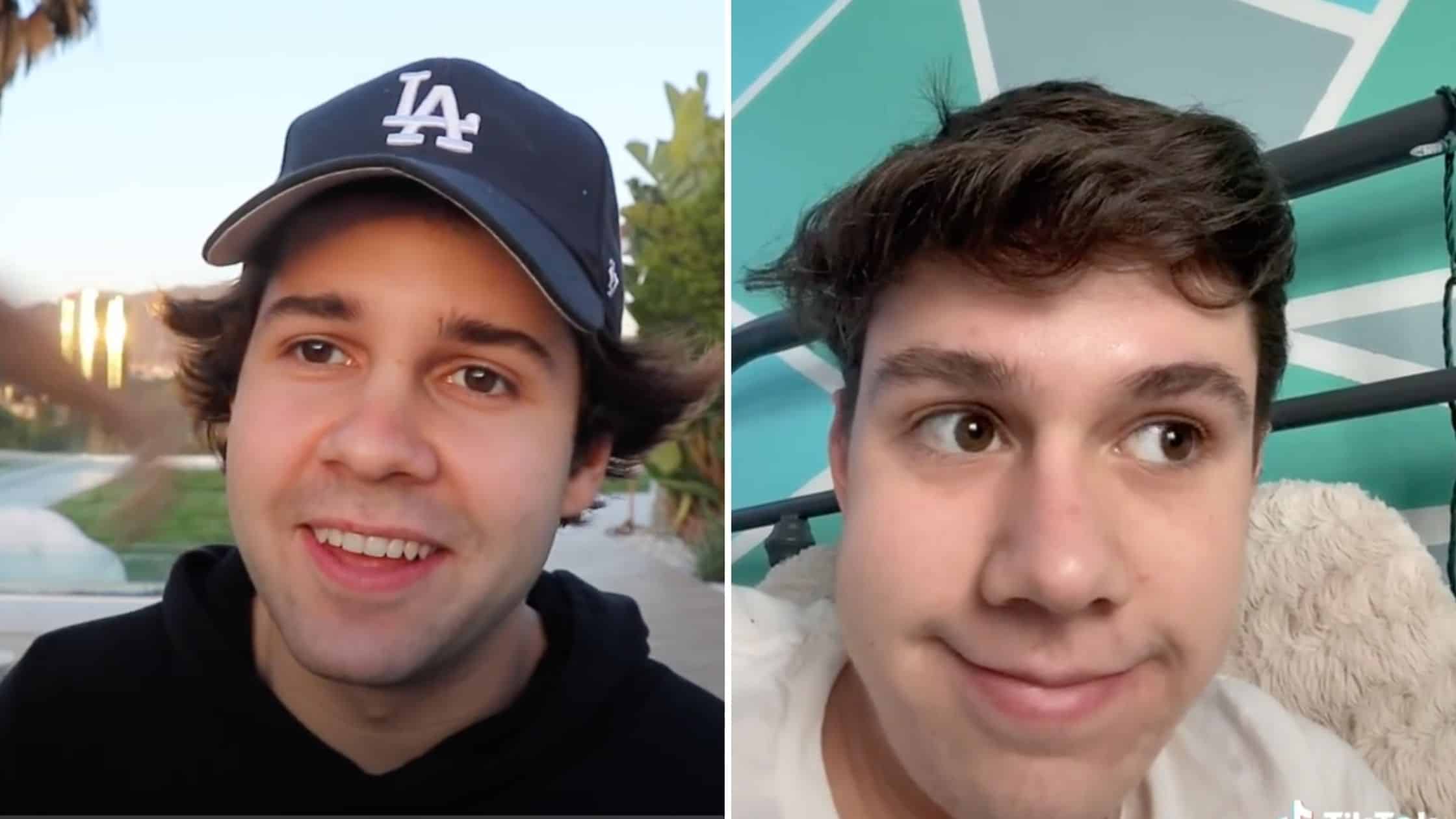 david dobrik little brother