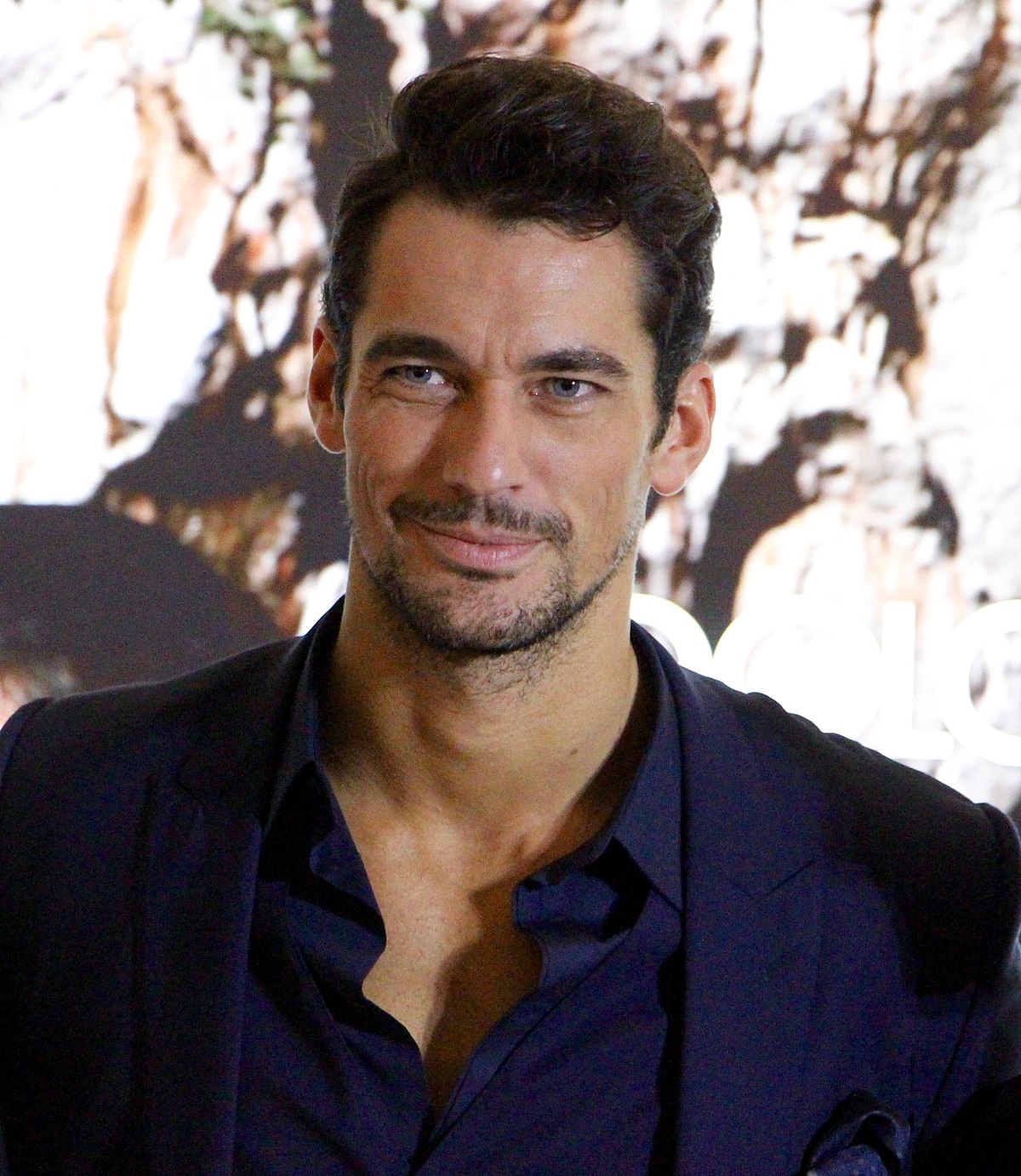 david james gandy