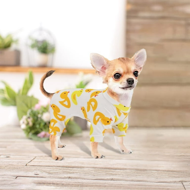 chihuahua dog clothes