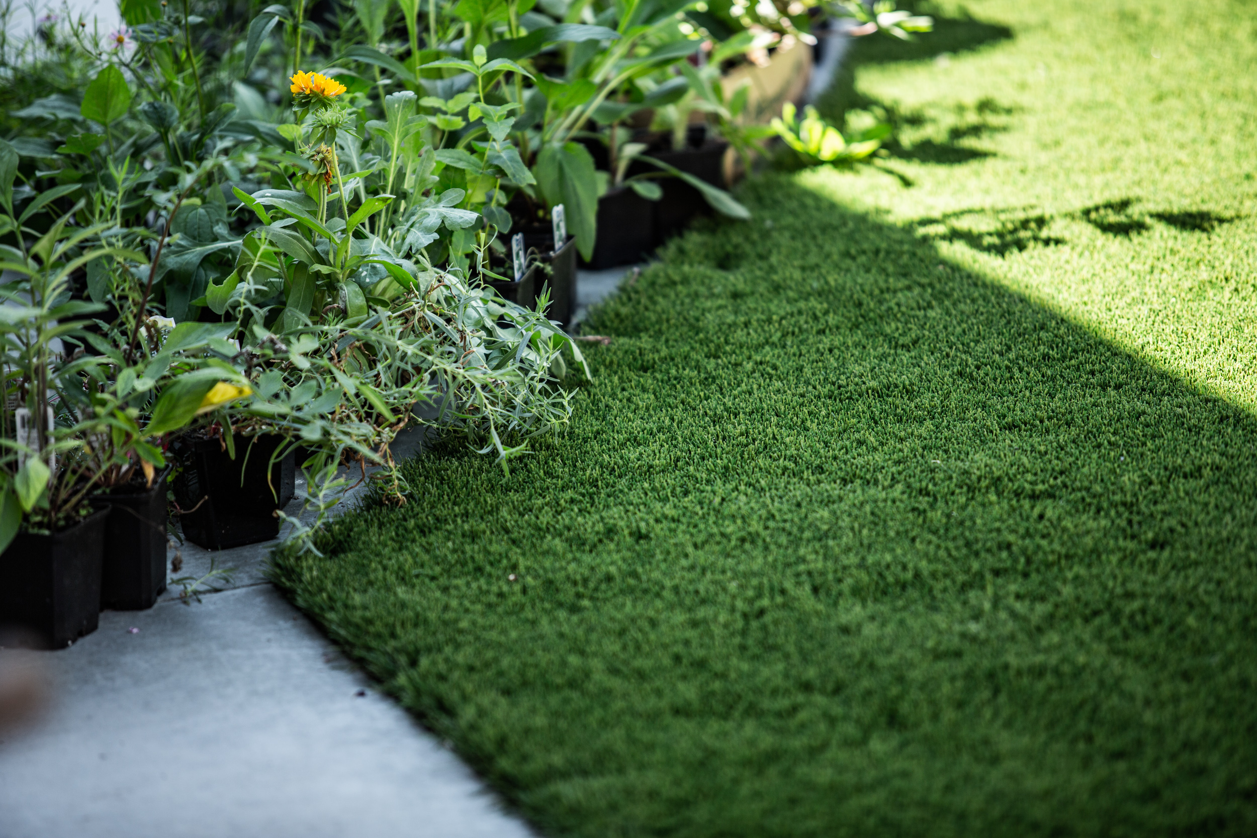 artificial turf north beach