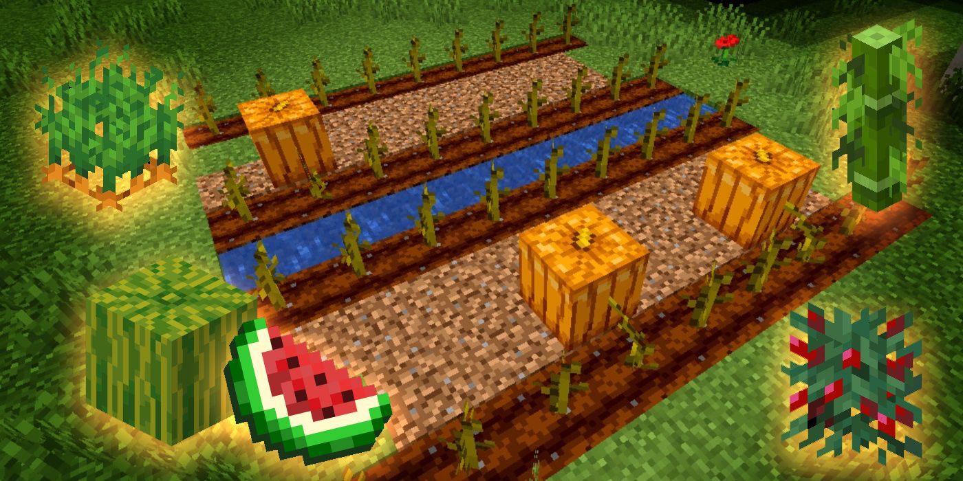 crops minecraft