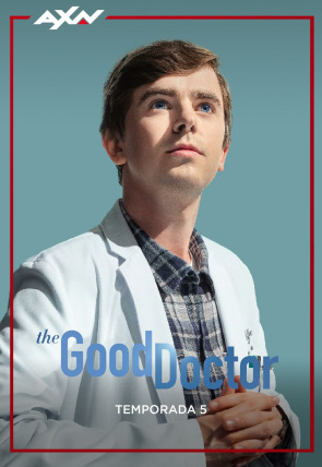 the good doctor on line