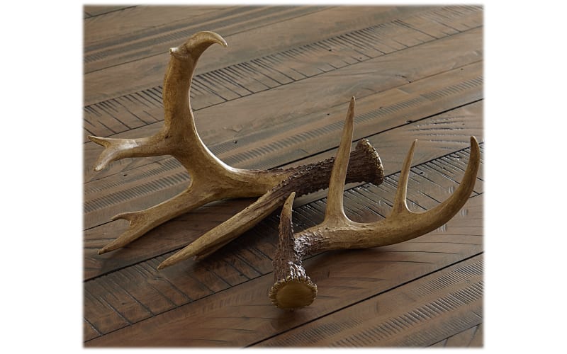 decorative antlers