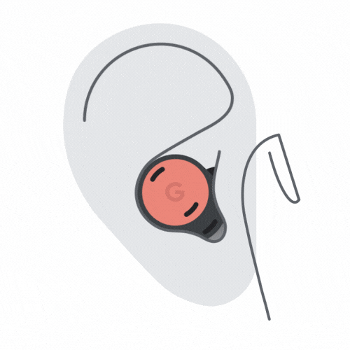 pixel buds support