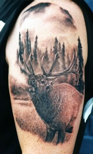 deer and elk tattoos