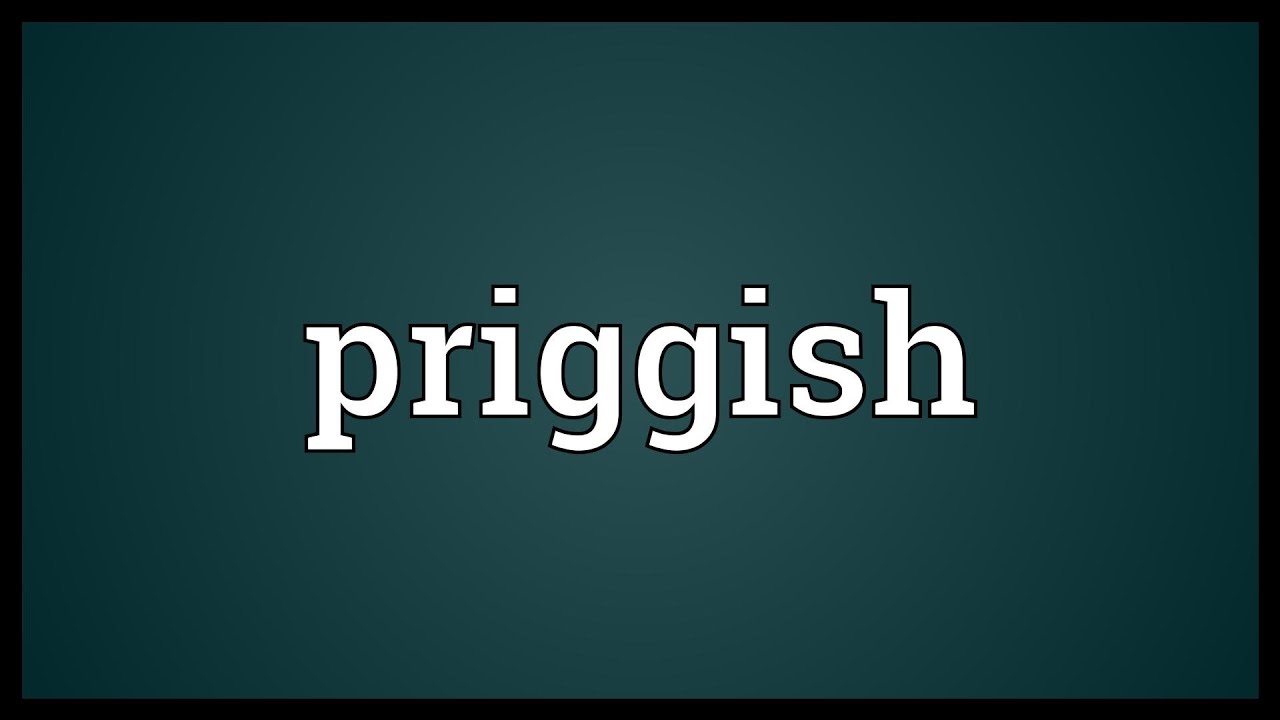 define priggish