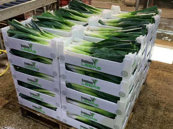 demand in back number is for the leek
