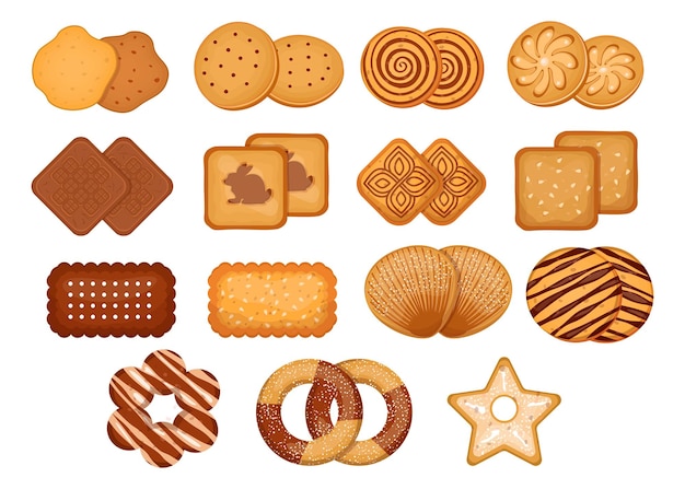 dessin biscuit