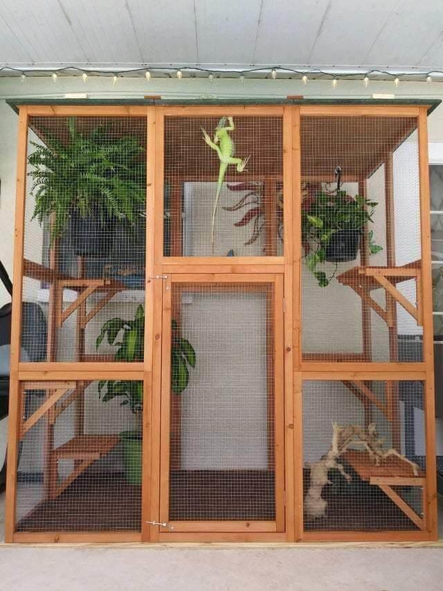 diy iguana enclosure