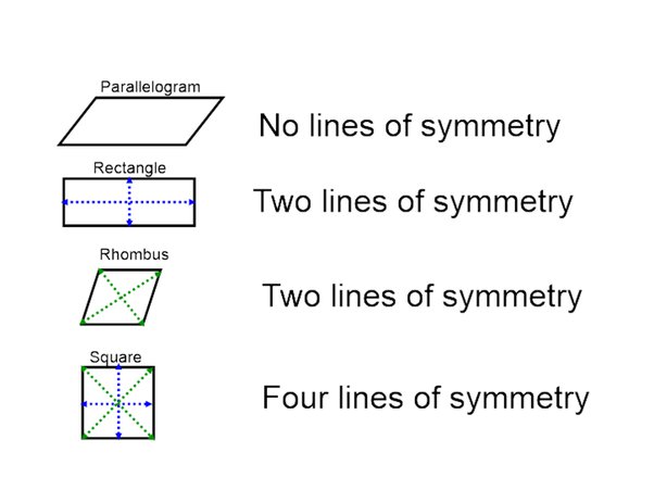 does a parallelogram have a line of symmetry