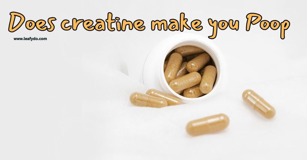 does creatine make you constipated