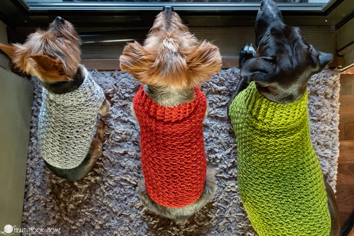 dog coat crochet pattern free