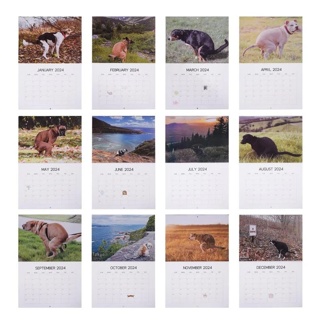 dog pooping calendar