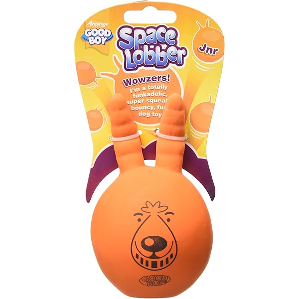 dog space hopper toy