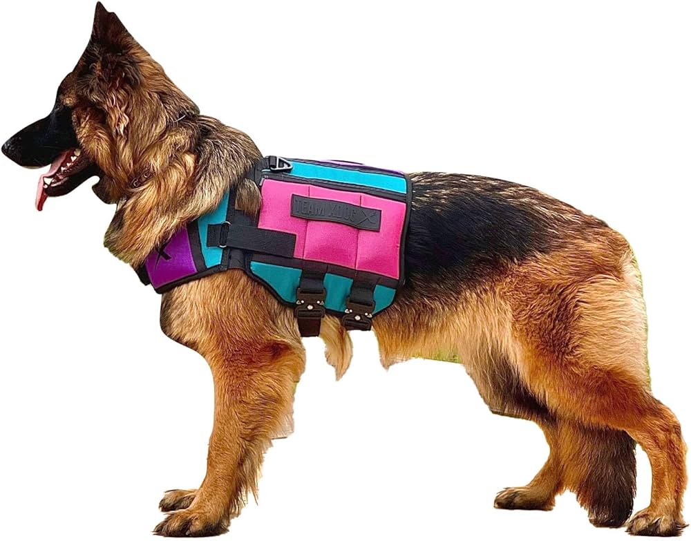 dog weight vest