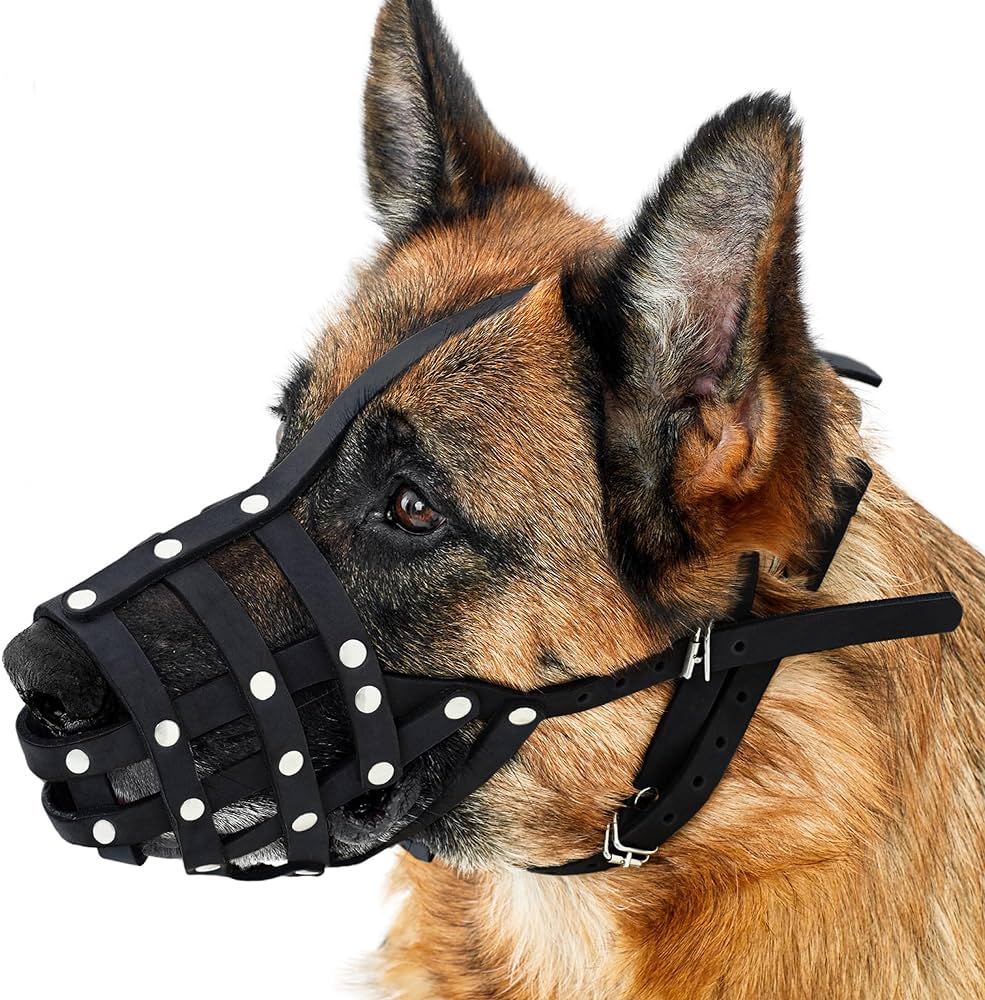dog with a pointed muzzle crossword clue