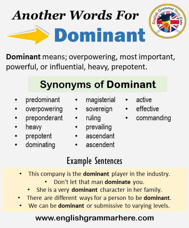 dominated synonym