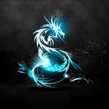 dragon wallpaper photo