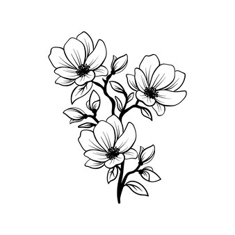 drawing outline flowers