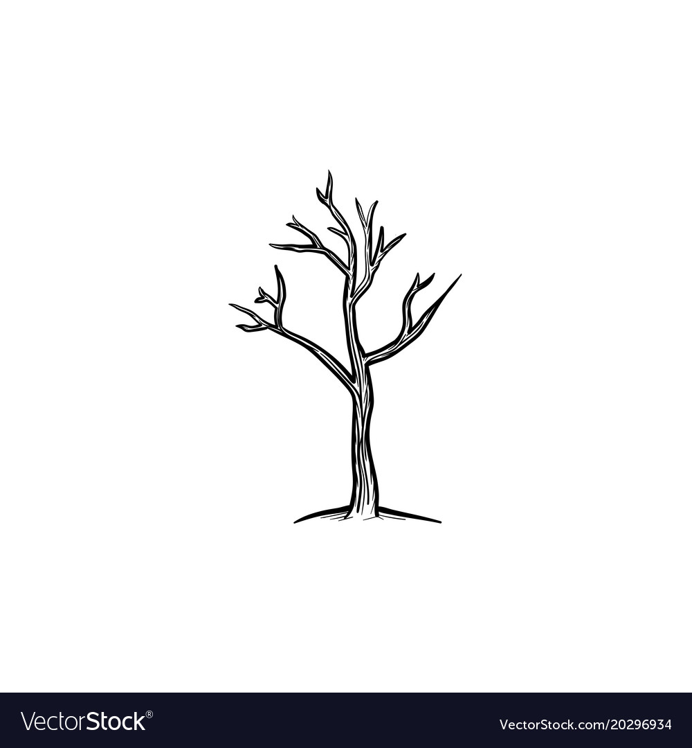 dry tree drawing