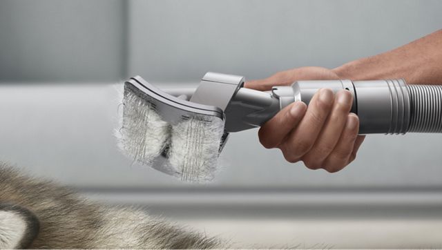 dyson groom