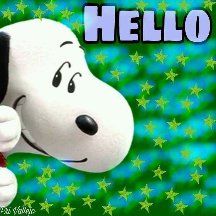 hola snoopy