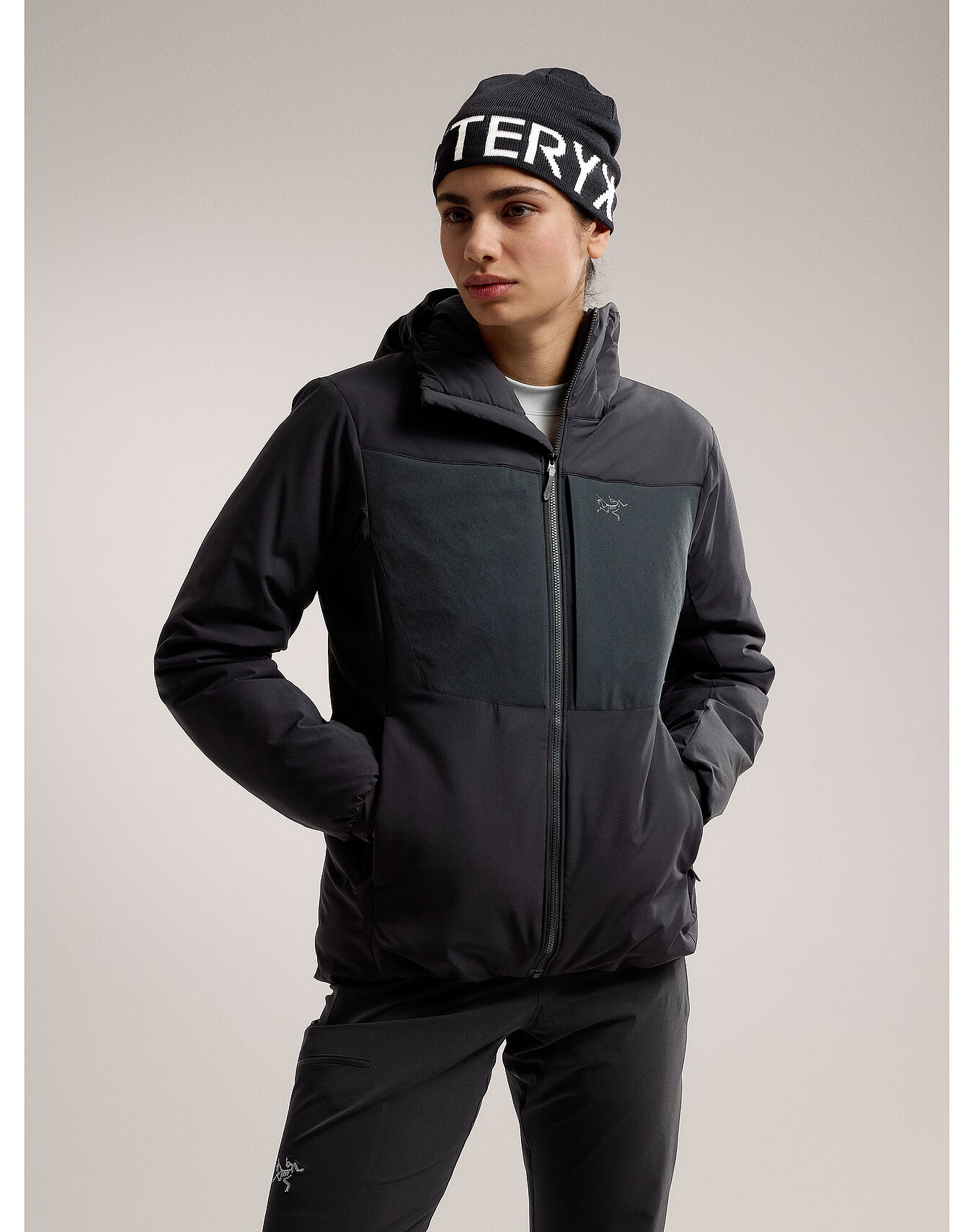 arcteryx proton hoody