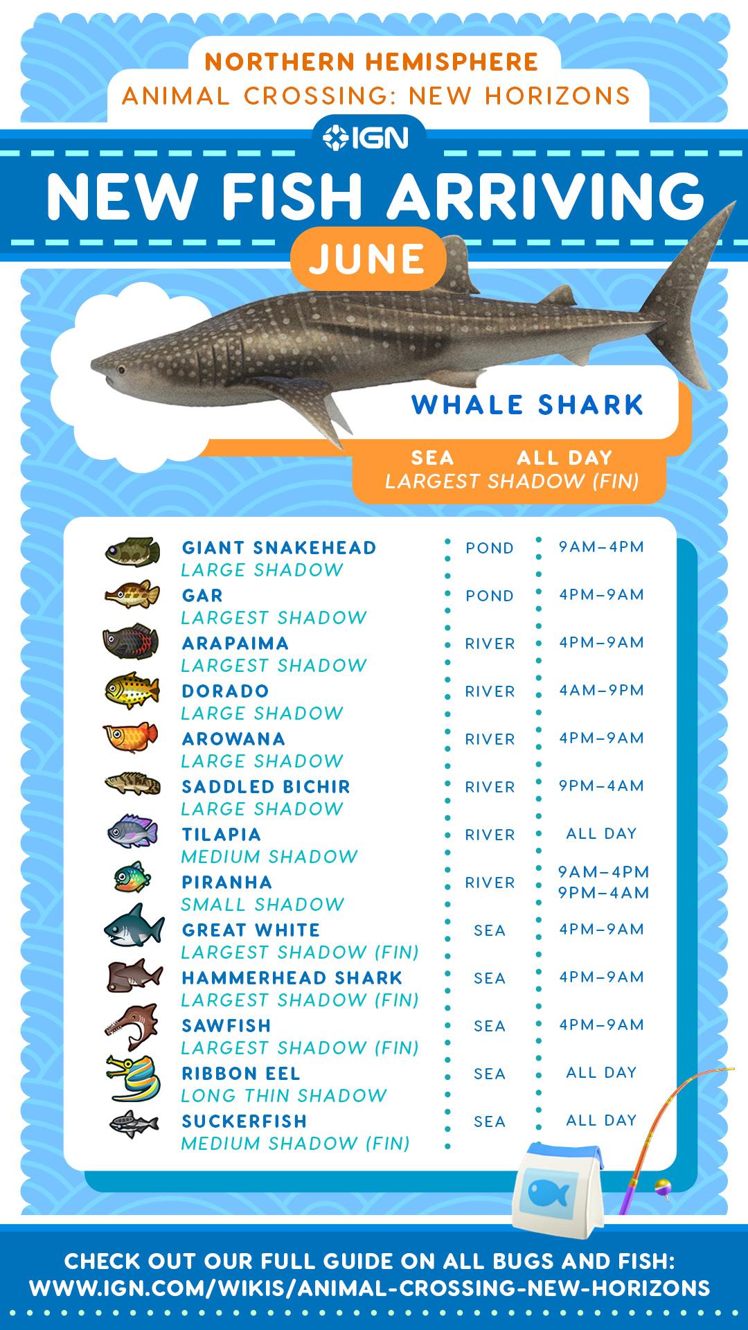 how rare are sharks in animal crossing