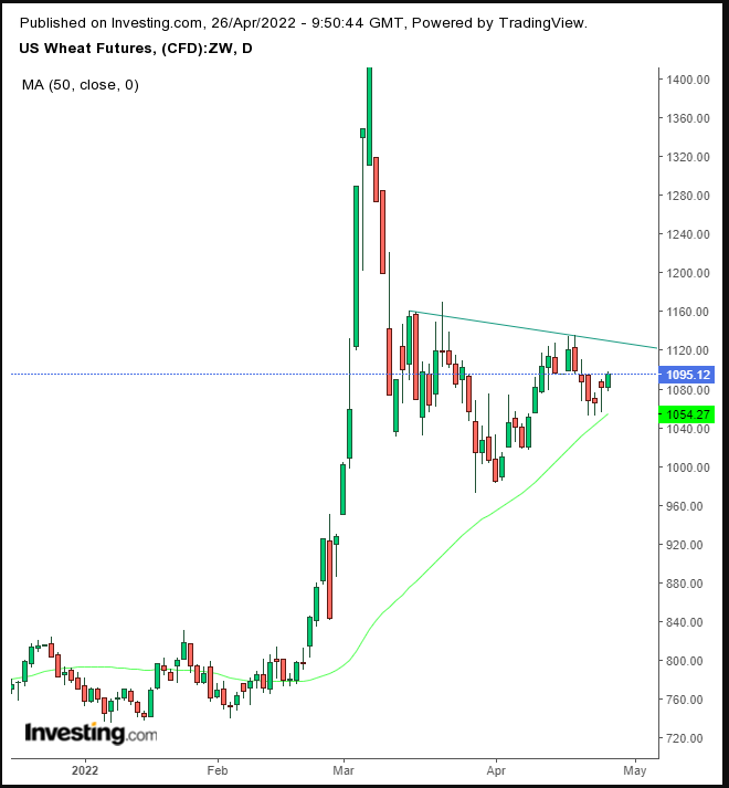 trigo investing