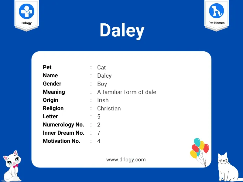 daley meaning in hindi