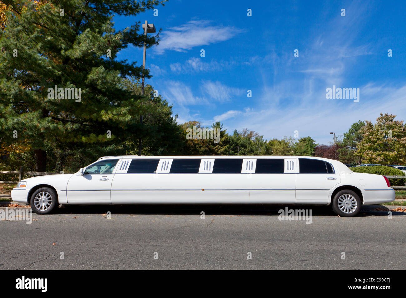 limousine pics