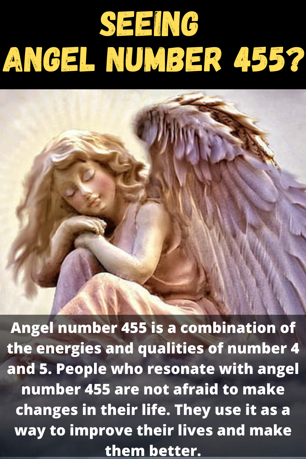 455 angel number