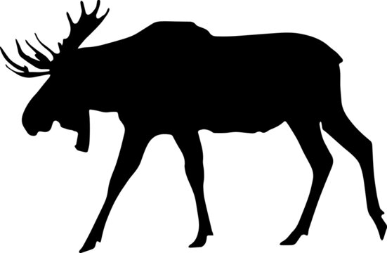 moose clipart