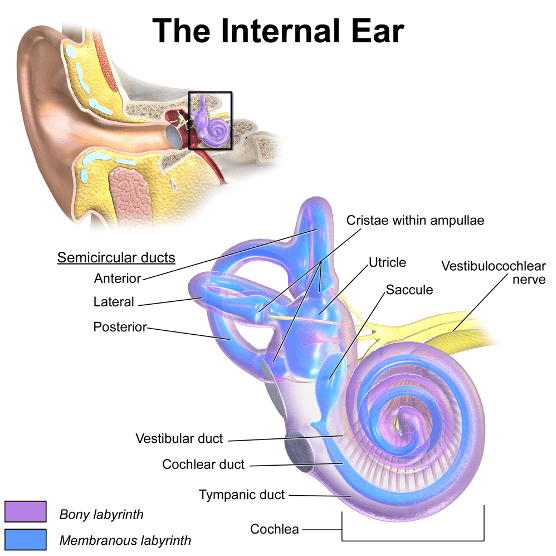 ear barotrauma home remedies