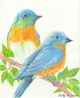 easy colored pencil drawings of animals