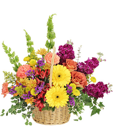 jasper texas florist