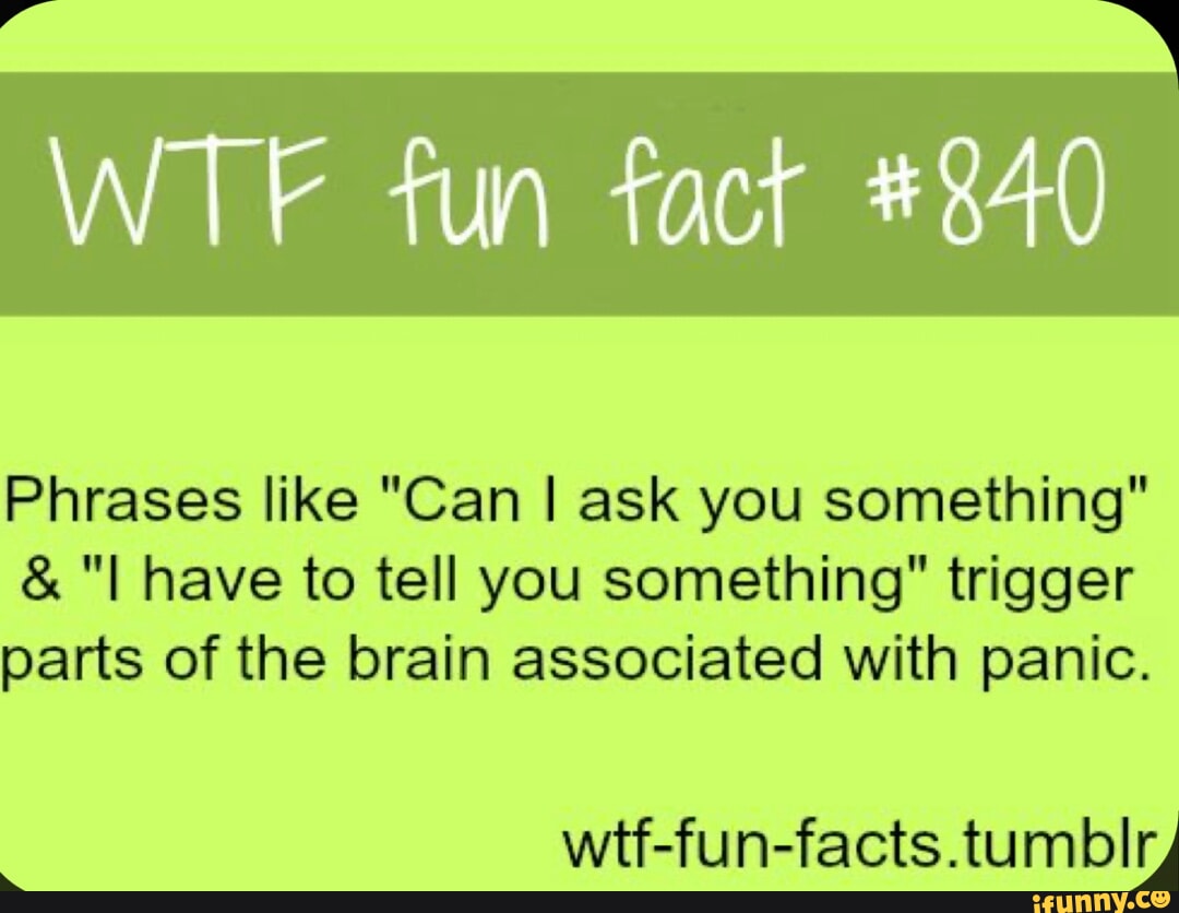 wtf fun facts tumblr